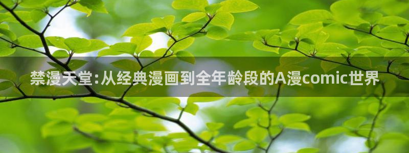 新omofun：禁漫天堂:从经典漫画到全年龄段的A漫comic世界