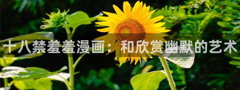 omofun免费下载：十八禁羞羞漫画：和欣赏幽默的艺术