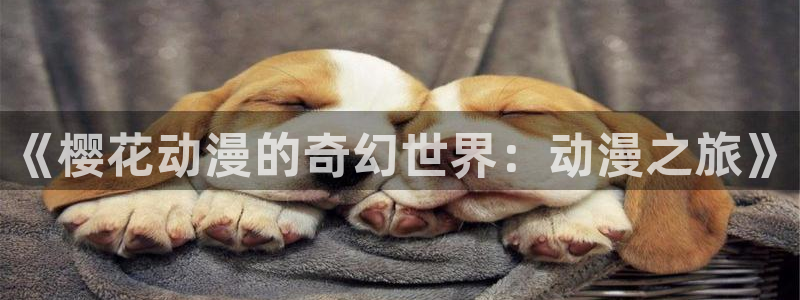 omofun电脑端：《樱花动漫的奇幻世界：动漫之旅》