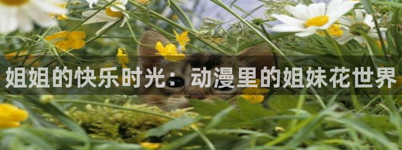 樱花动漫正版下载：姐姐的快乐时光：动漫里的姐妹花世界