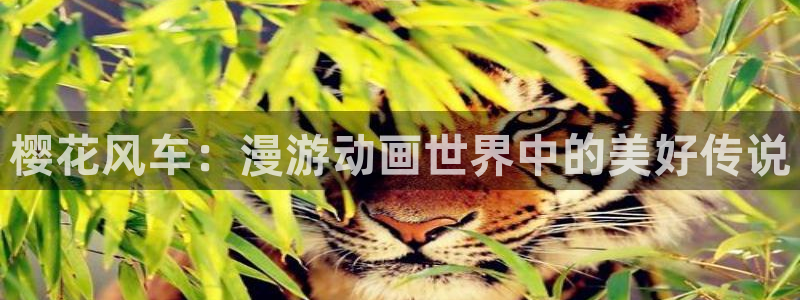 omofun动漫官网网页版入口：樱花风车：漫游动画世界中的美好传说