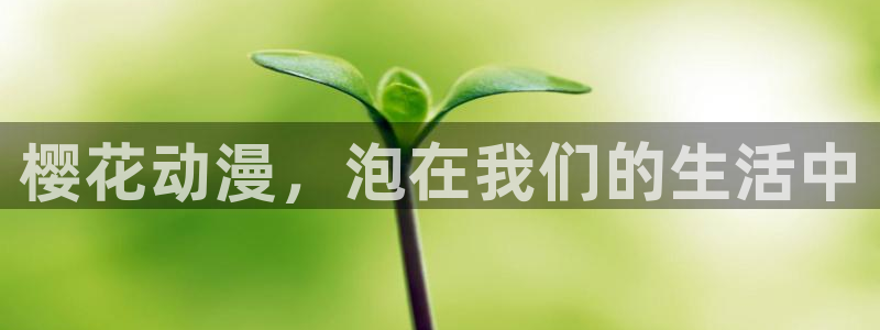 omofun动漫动漫：樱花动漫，泡在我们的生活中
