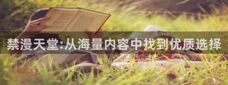 omofun动漫网官网：禁漫天堂:从海量内容中找到优质选择