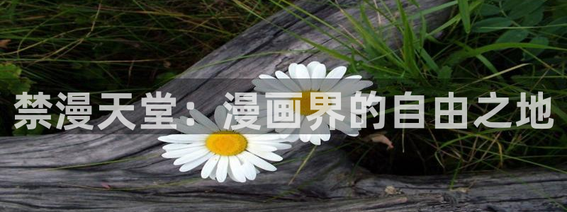 omofun免费正版下载：禁漫天堂：漫画界的自由之地