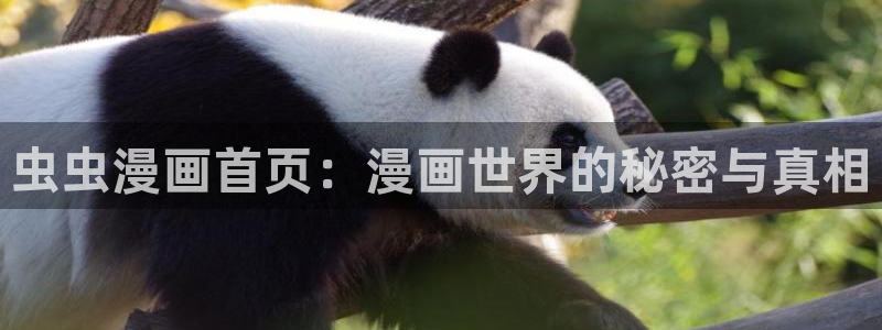 omofun网页入口版
