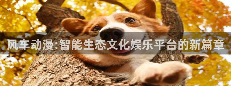 omofun正版官方链接
