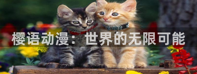 omofun动漫正版