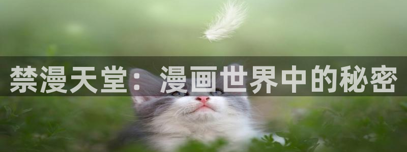 omofun动漫官网网页版入口：禁漫天堂：漫画世界中的秘密