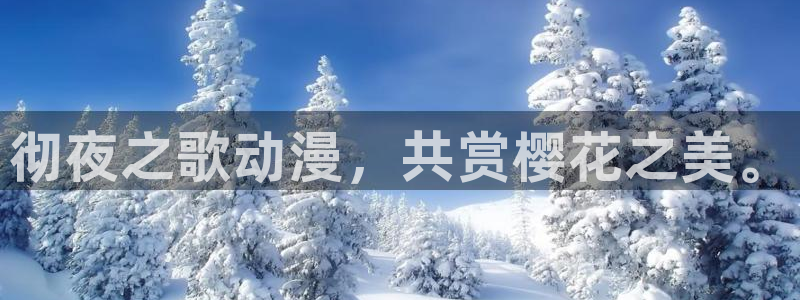 omofun 网站：彻夜之歌动漫，共赏樱花之美。