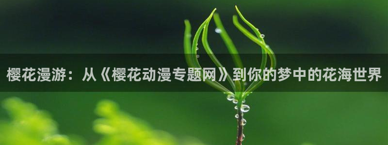 omofun,hanime：樱花漫游：从《樱花动漫专题网》到你的梦中的花海世界