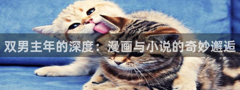 omofun全新：双男主年的深度：漫画与小说的奇妙邂逅