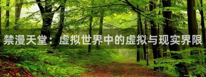 omofun自签：禁漫天堂：虚拟世界中的虚拟与现实界限