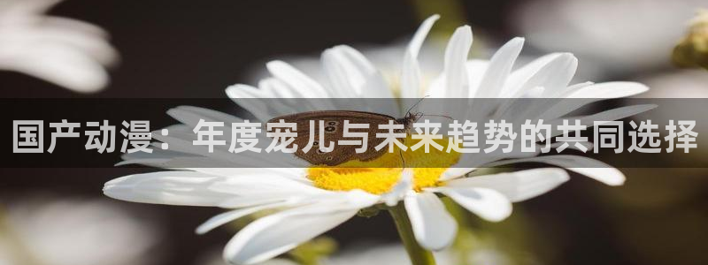 omofun动漫在哪下载：国产动漫：年度宠儿与未来趋势的共同选择